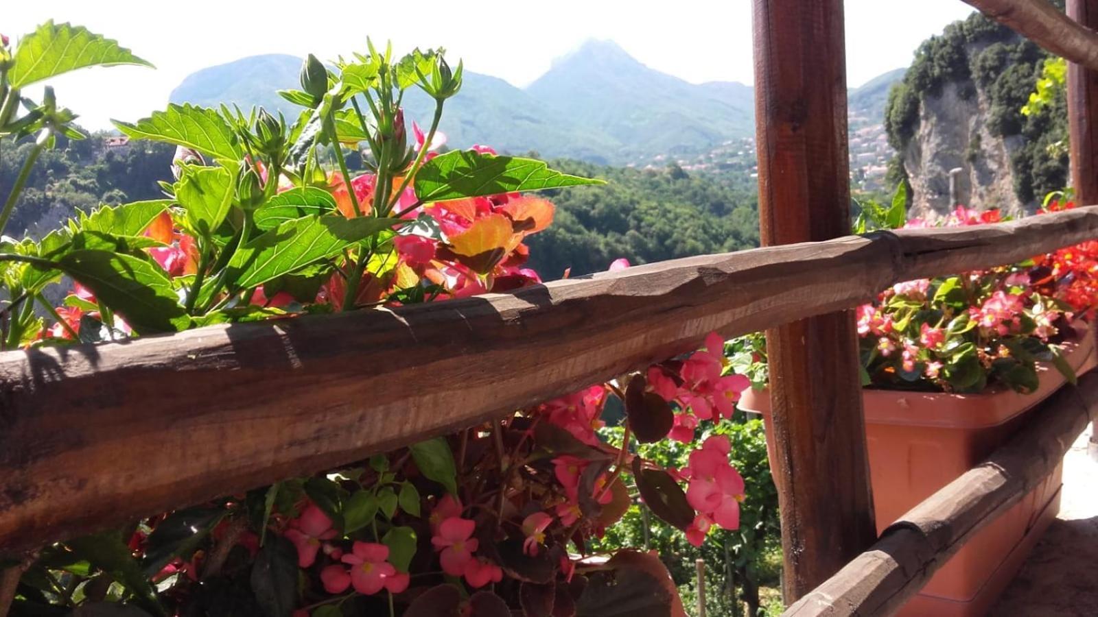 Agriturismo Orrido Di Pino Agerola Dış mekan fotoğraf
