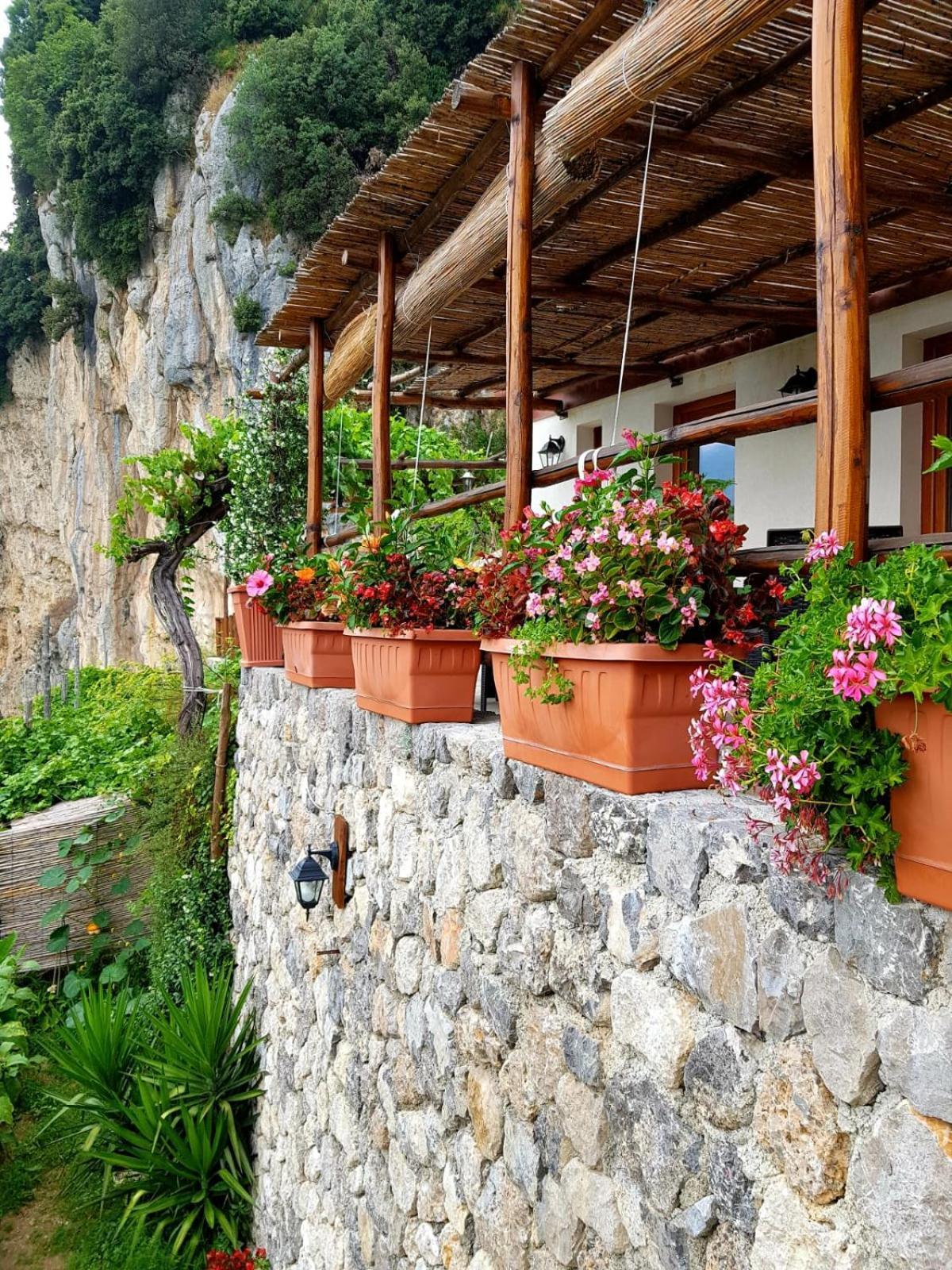 Agriturismo Orrido Di Pino Agerola Dış mekan fotoğraf