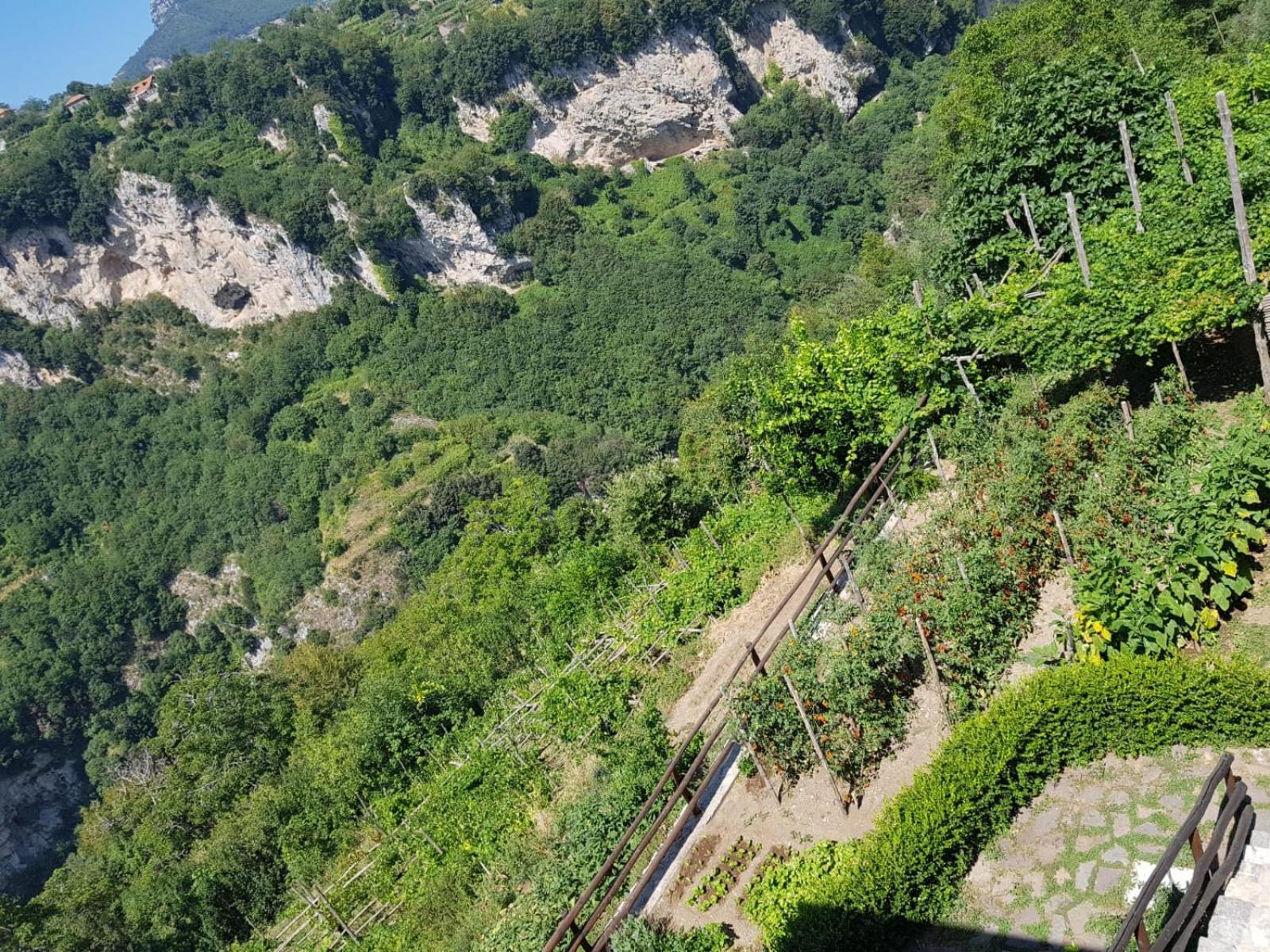 Agriturismo Orrido Di Pino Agerola Dış mekan fotoğraf
