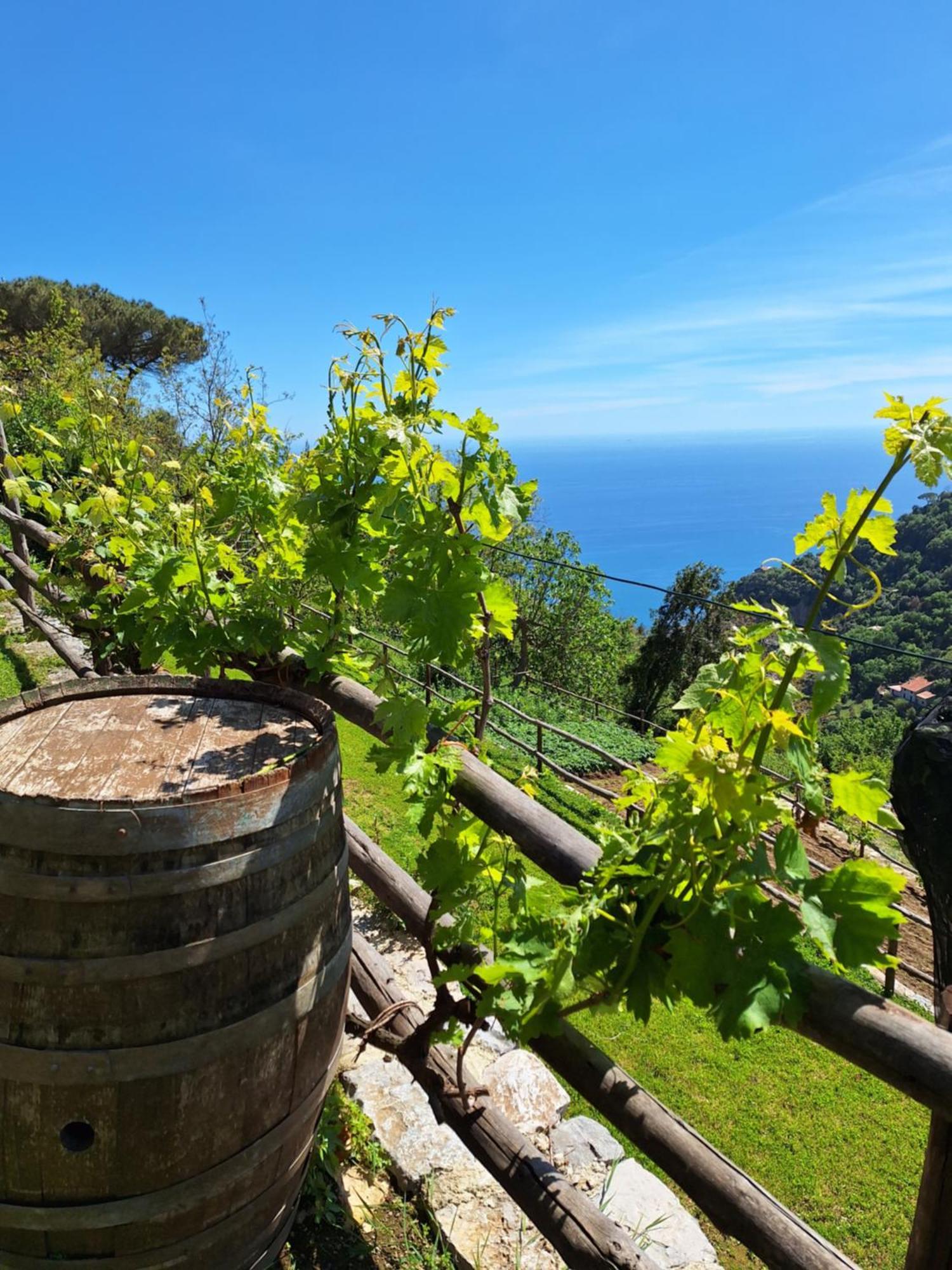 Agriturismo Orrido Di Pino Agerola Dış mekan fotoğraf