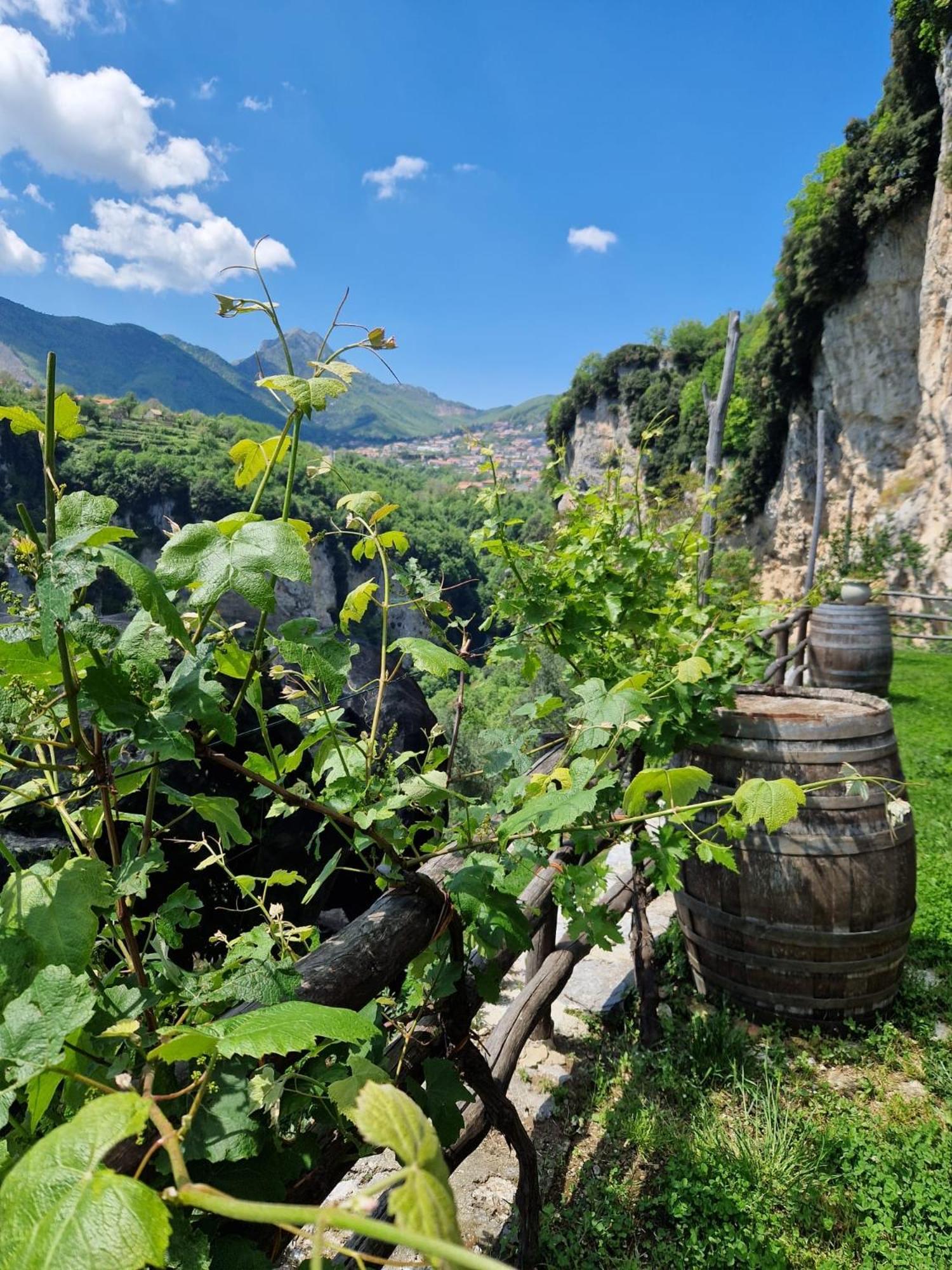 Agriturismo Orrido Di Pino Agerola Dış mekan fotoğraf