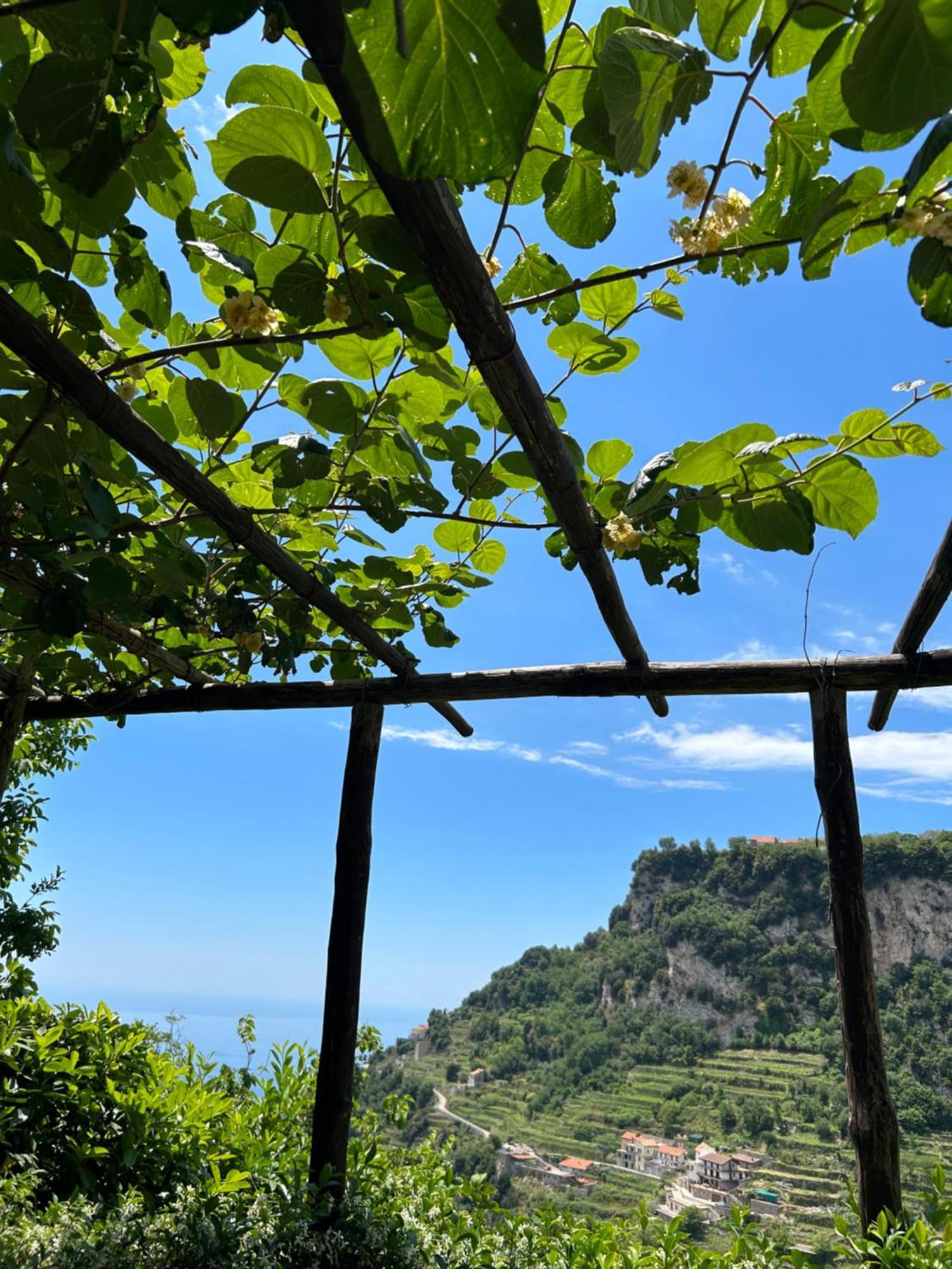 Agriturismo Orrido Di Pino Agerola Dış mekan fotoğraf
