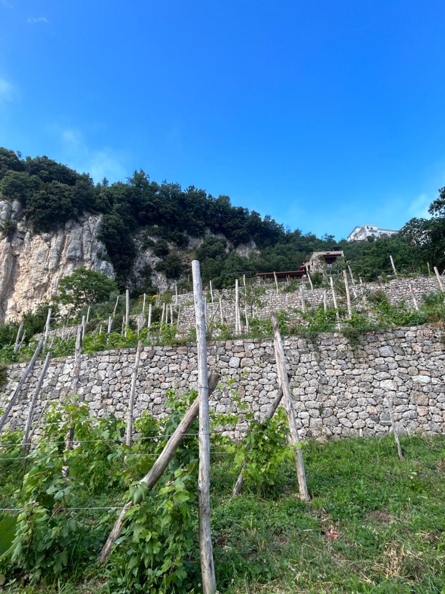 Agriturismo Orrido Di Pino Agerola Dış mekan fotoğraf