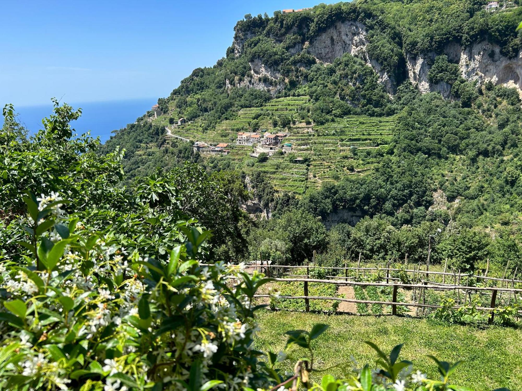 Agriturismo Orrido Di Pino Agerola Dış mekan fotoğraf