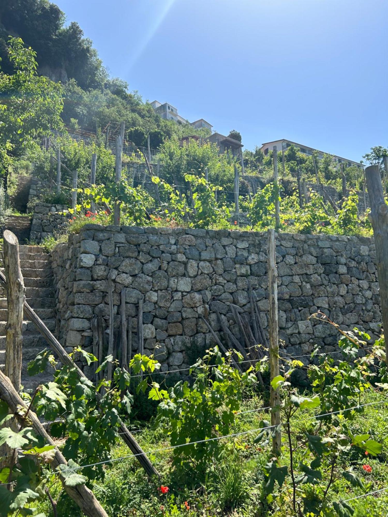 Agriturismo Orrido Di Pino Agerola Dış mekan fotoğraf